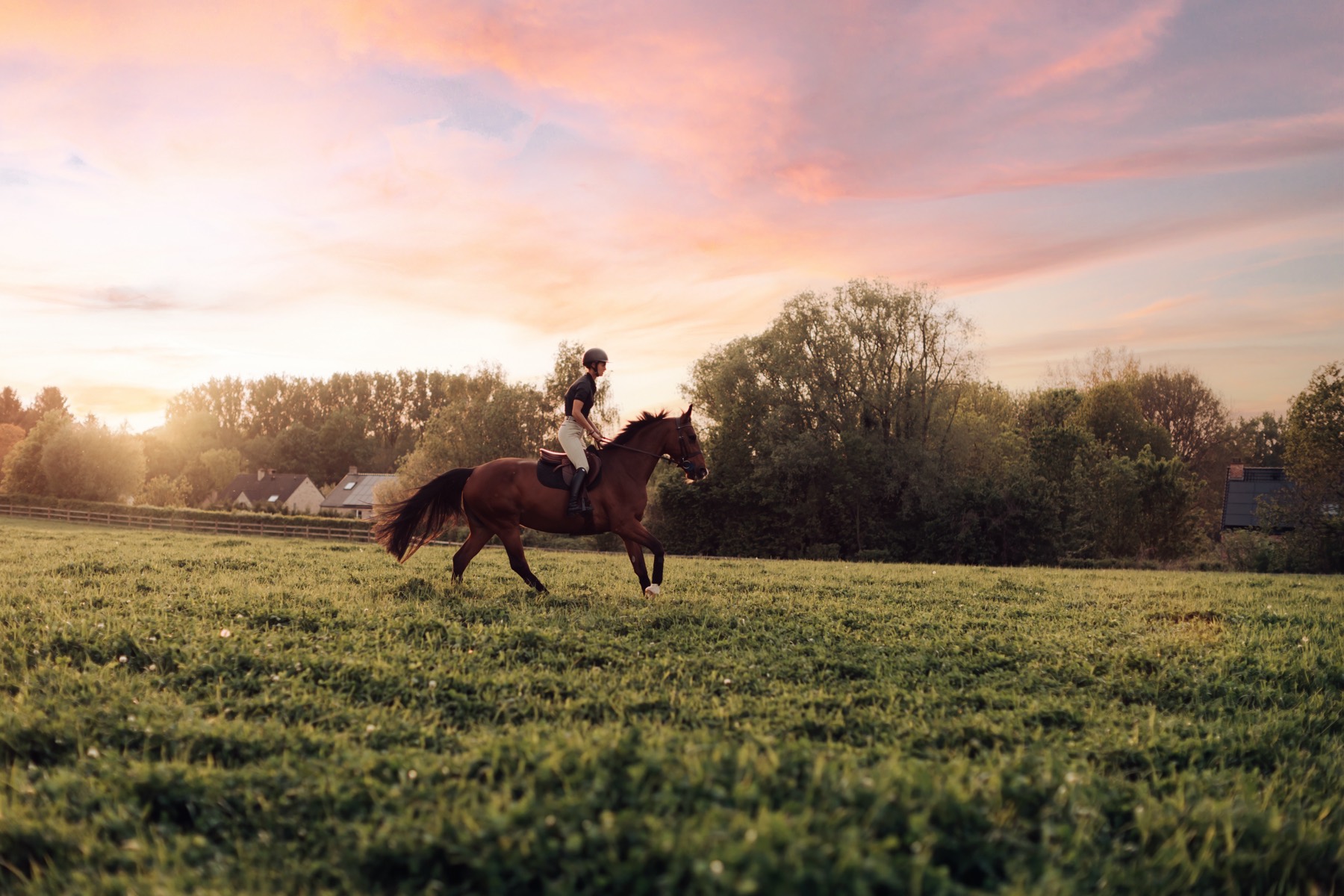 Reiter auf einem braunen Pferd auf einer Wiese unter dem Abendhimmel